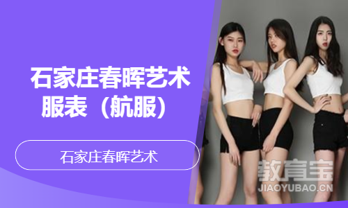 石家庄春晖艺术服表（航服）